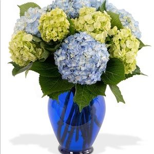 Meet your Posher, Nancy